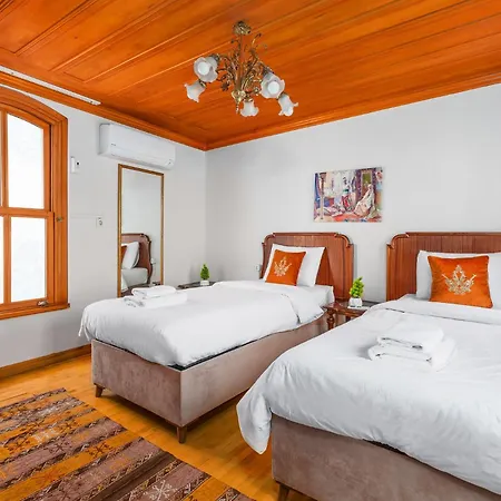 Luxurious Ottoman Style Mansion In Fatih 伊斯坦布尔